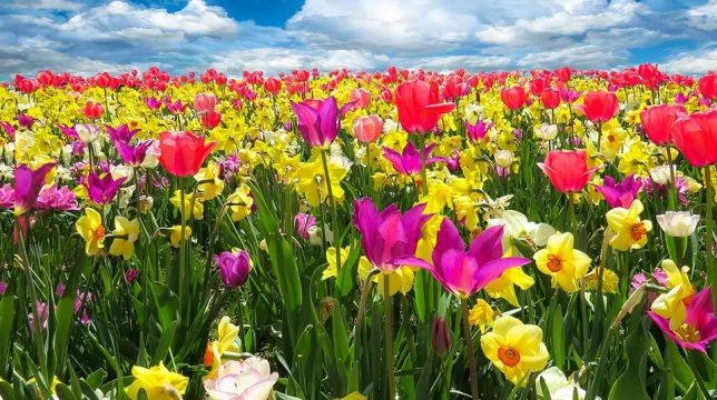 UK property market stumbles in winter and recovers in spring