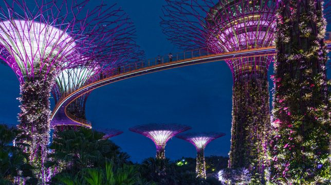 Singapore set to remain sluggish