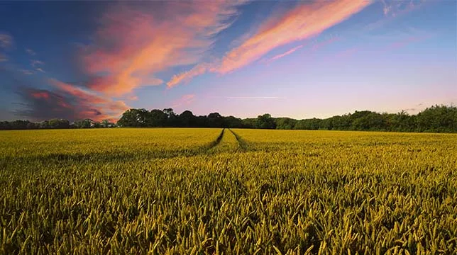 Rural land owners want to build more homes