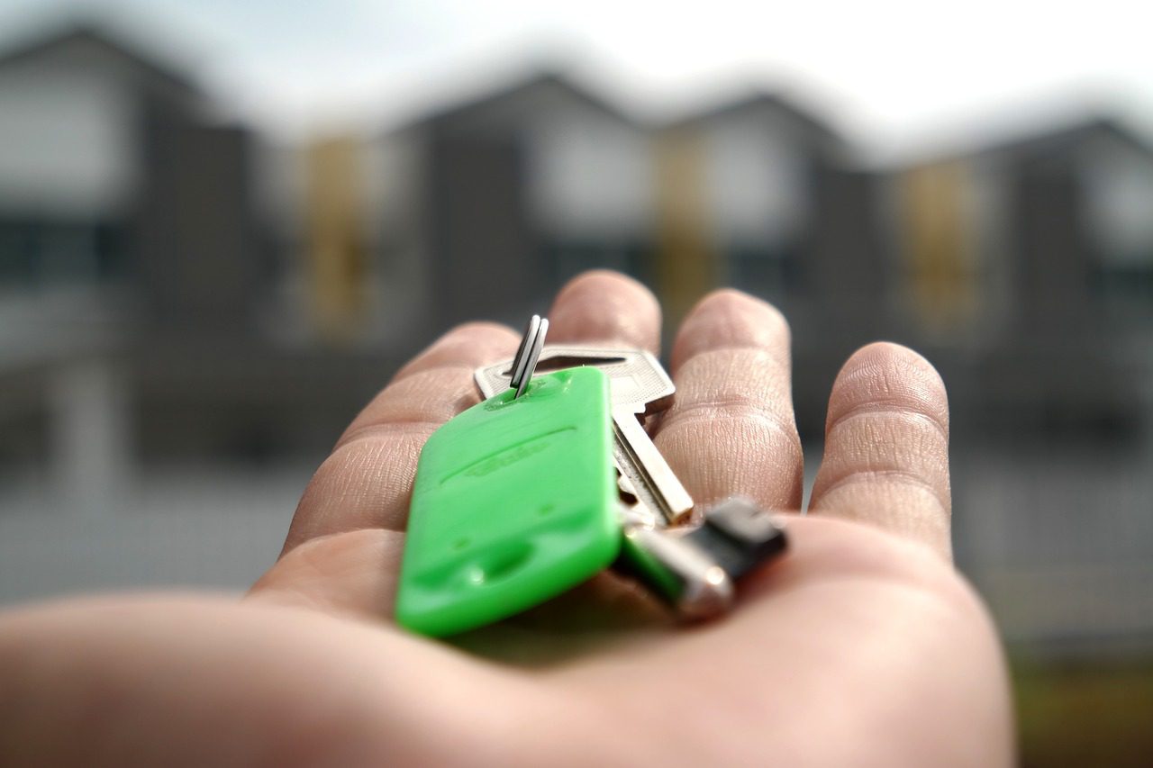 Leasehold properties made up a third of all homes sold last year