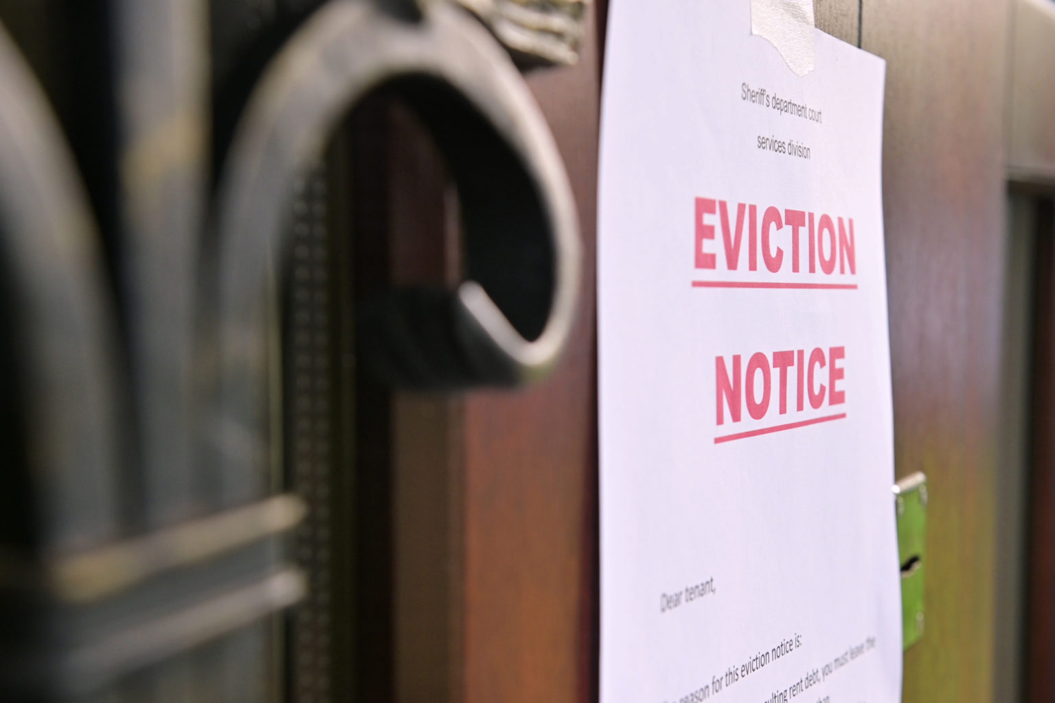 eviction section 21 notice