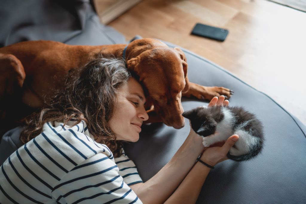 tenants with pets