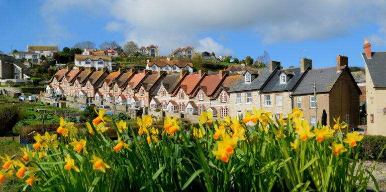 spring